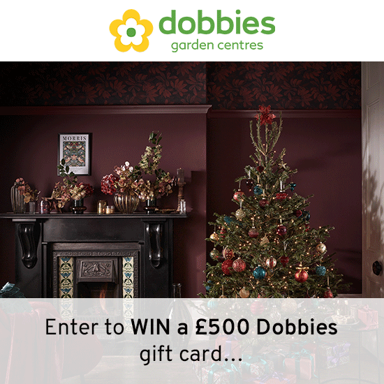 PRO_Dobbies_Marketing_Email_550x550 (2)